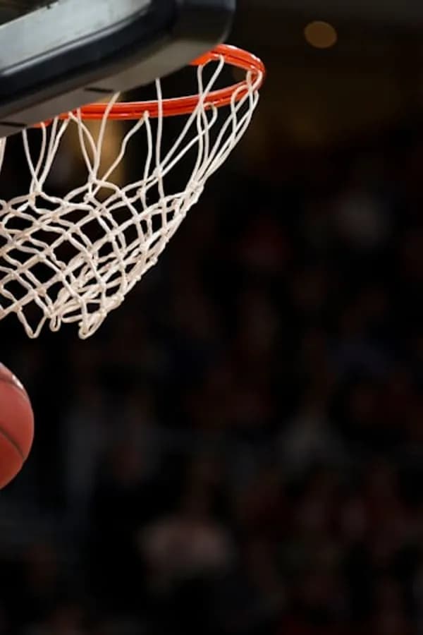 Liga Endesa ACB & Euroliga