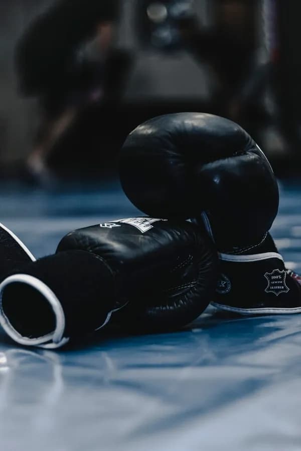 UFC y Boxeo