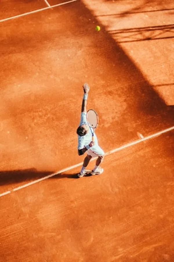 Tenis: Grand Slams & ATP