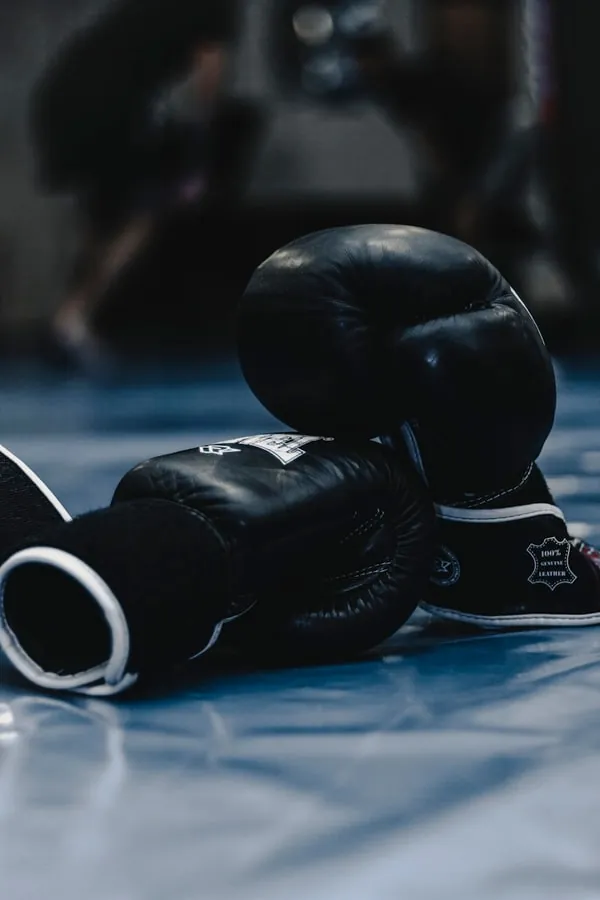 Ver UFC y Boxeo online